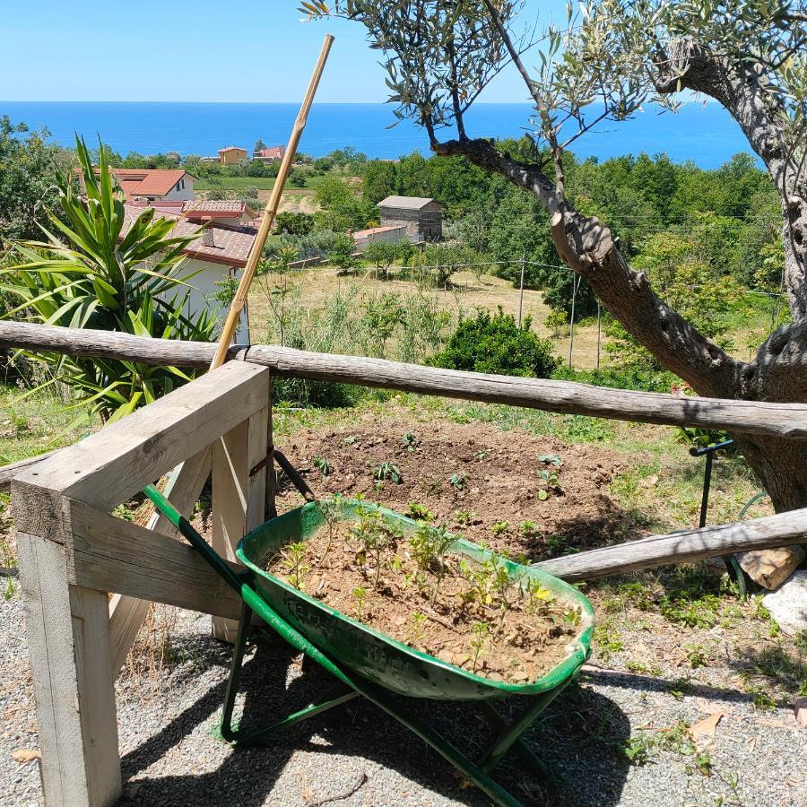 Agriturismo Agri Armonia San Lucido Exteriér fotografie