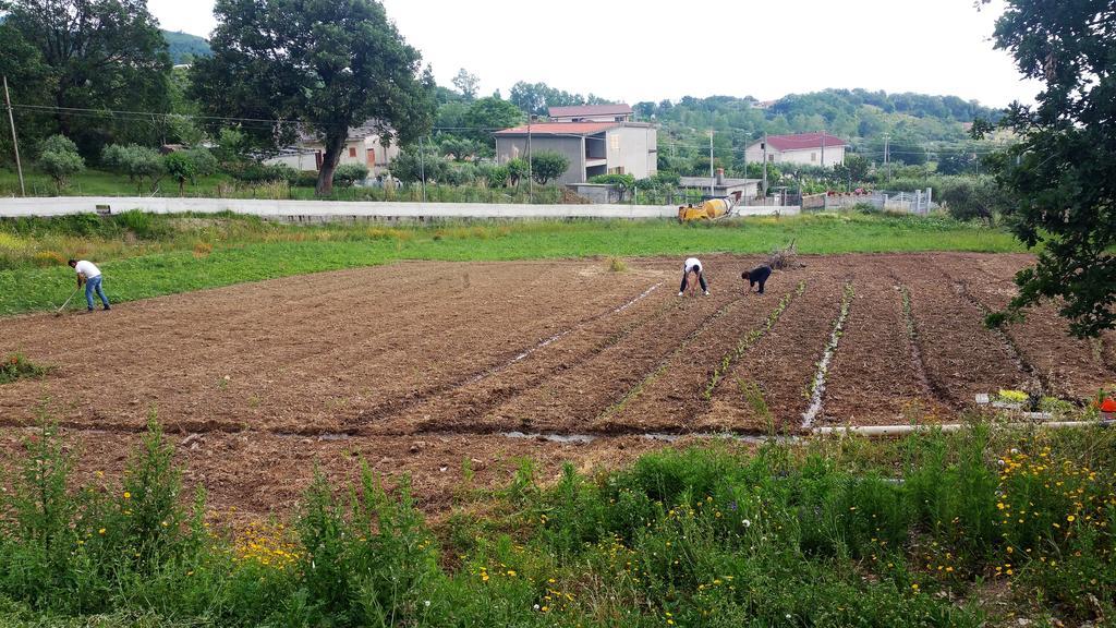 Agriturismo Agri Armonia San Lucido Exteriér fotografie